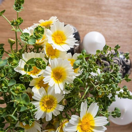 Вилла Perfect Purity Ия Экстерьер фото